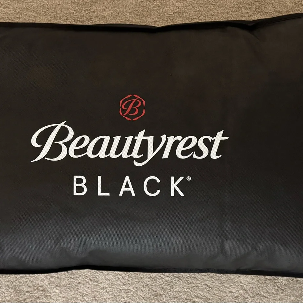 🎉LAST‎ CHANCE🎉BEAUTYREST BLACK Luxurious Down And Feather Blend Pillow